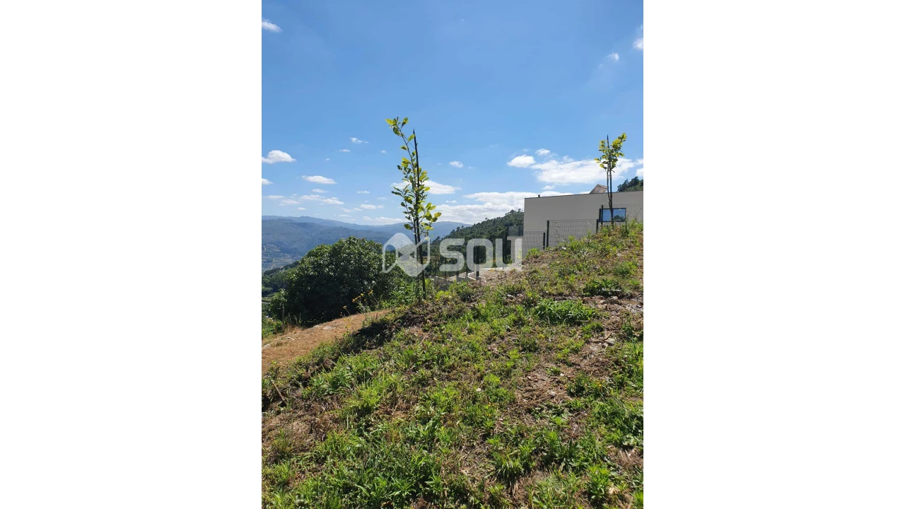 Apartamento T0 para Venda em Santa Cruz do Douro e São Tomé de Covelas Foto 7