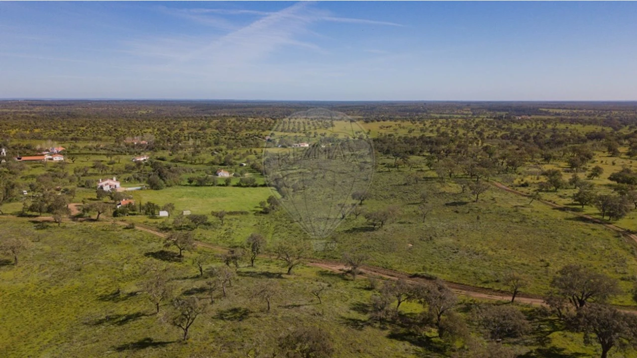 Terreno para Venda em Cercal Foto 9