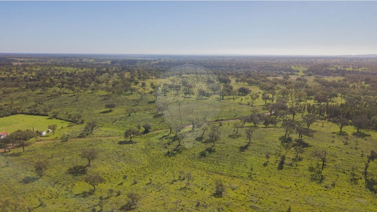Terreno para Venda em Cercal Foto 2