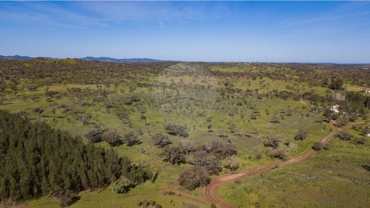 Terreno para Venda em Cercal Foto 13