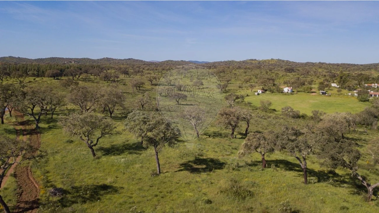 Terreno para Venda em Cercal Foto 23