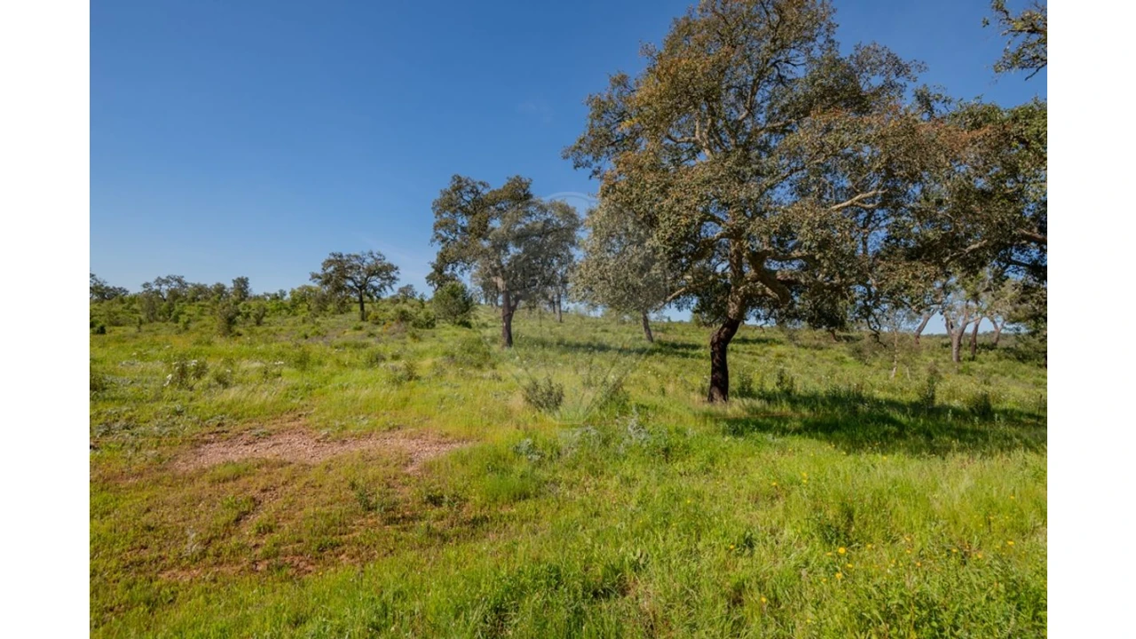 Terreno para Venda em Cercal Foto 36
