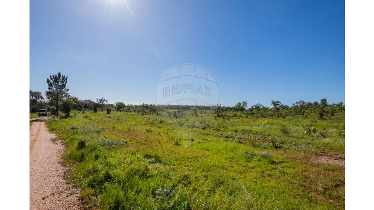 Terreno para Venda em Cercal Foto 35
