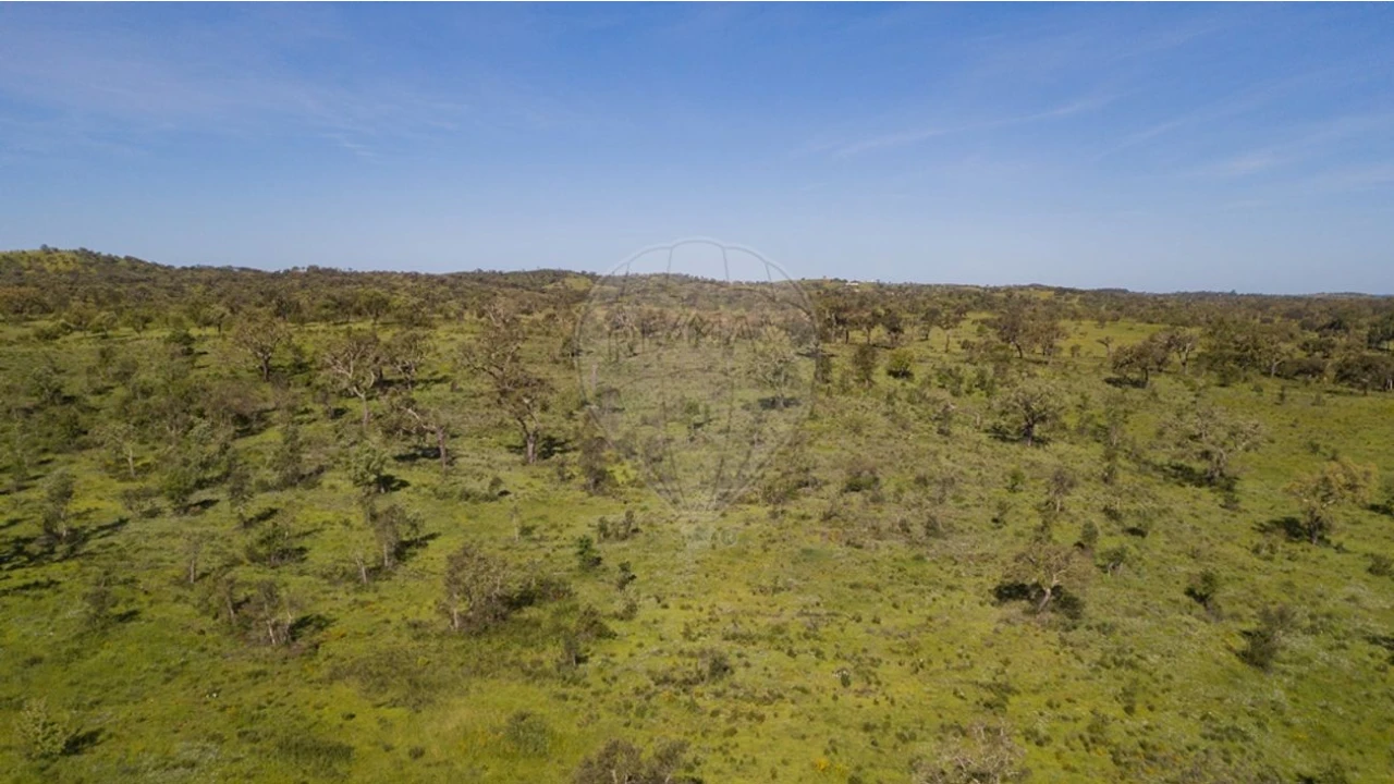 Terreno para Venda em Cercal Foto 28