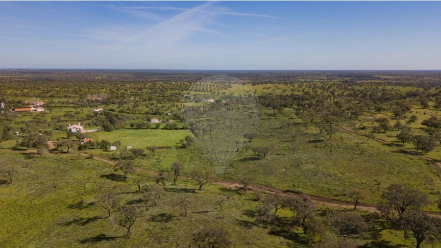 Terreno para Venda em Cercal Foto 9