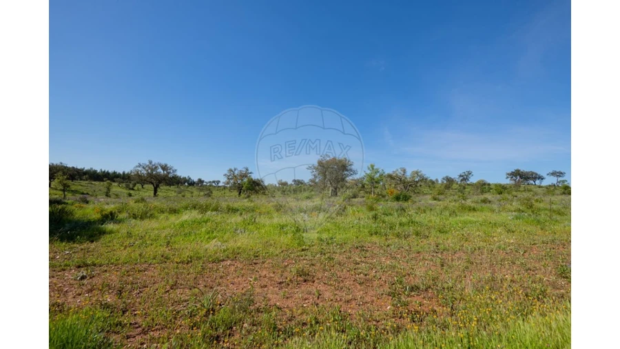 Terreno para Venda em Cercal Foto 34