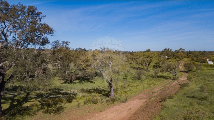 Terreno para Venda em Cercal Foto 7