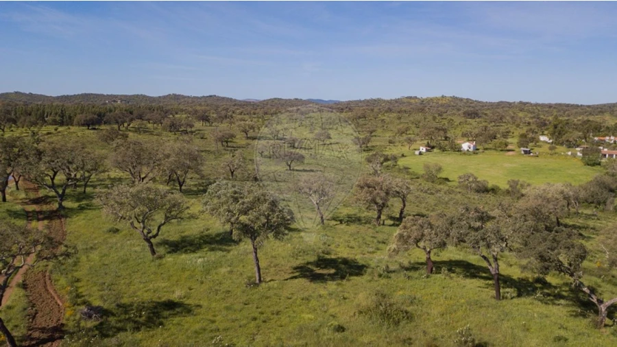 Terreno para Venda em Cercal Foto 23