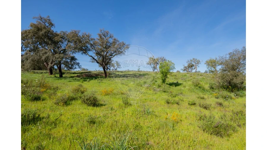 Terreno para Venda em Cercal Foto 32