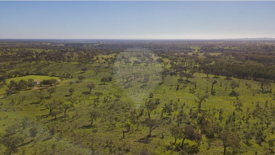 Terreno para Venda em Cercal