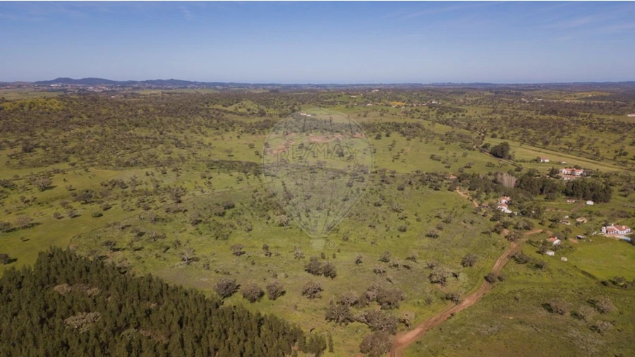Terreno para Venda em Cercal Foto 15