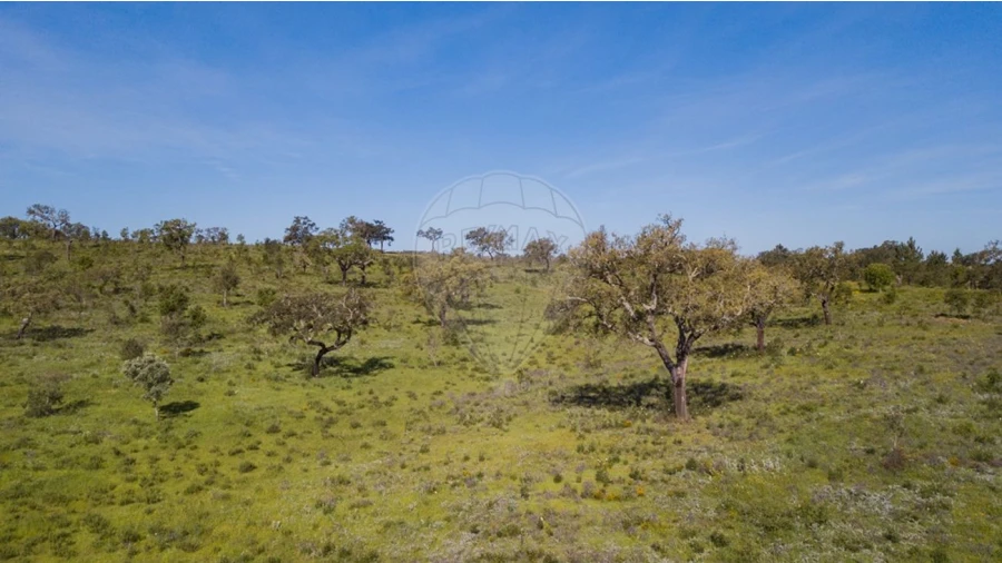 Terreno para Venda em Cercal Foto 27