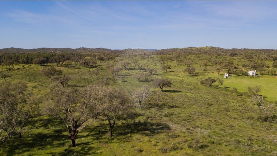 Terreno para Venda em Cercal Foto 24