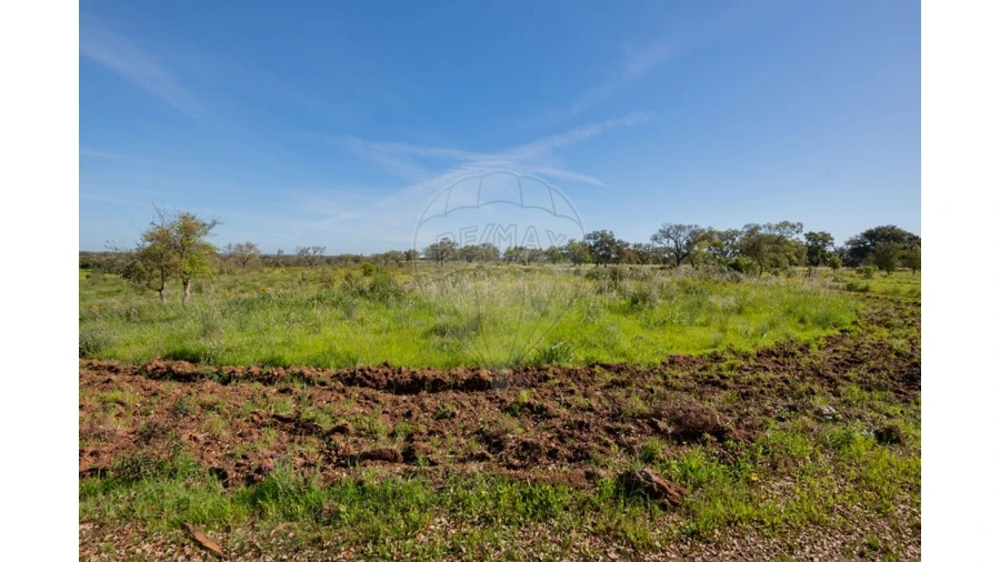 Terreno para Venda em Cercal Foto 31
