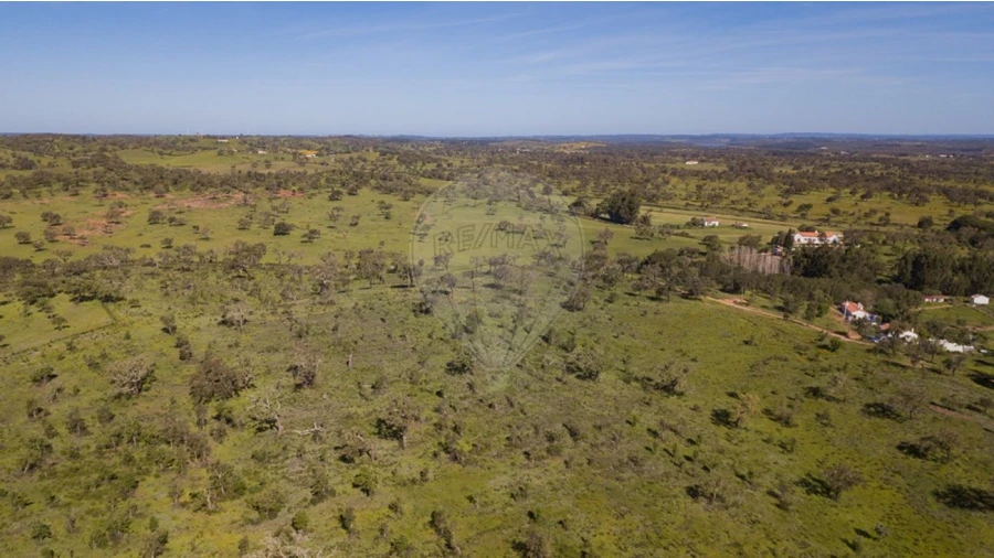 Terreno para Venda em Cercal Foto 11