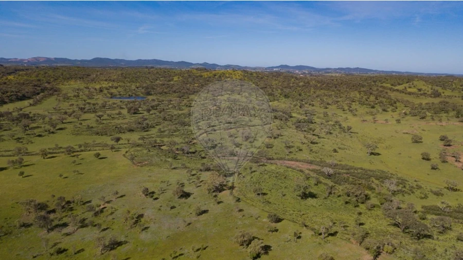 Terreno para Venda em Cercal Foto 5