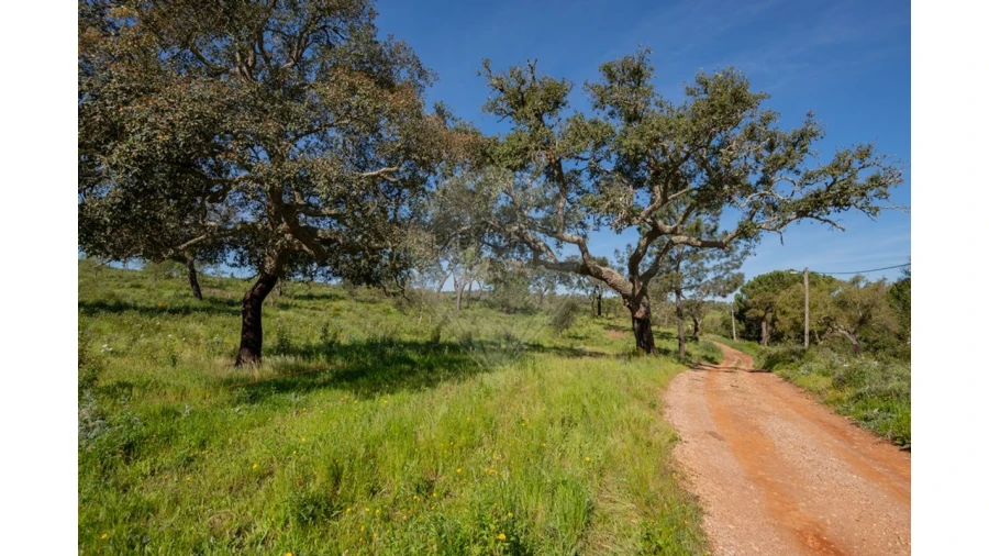Terreno para Venda em Cercal Foto 4