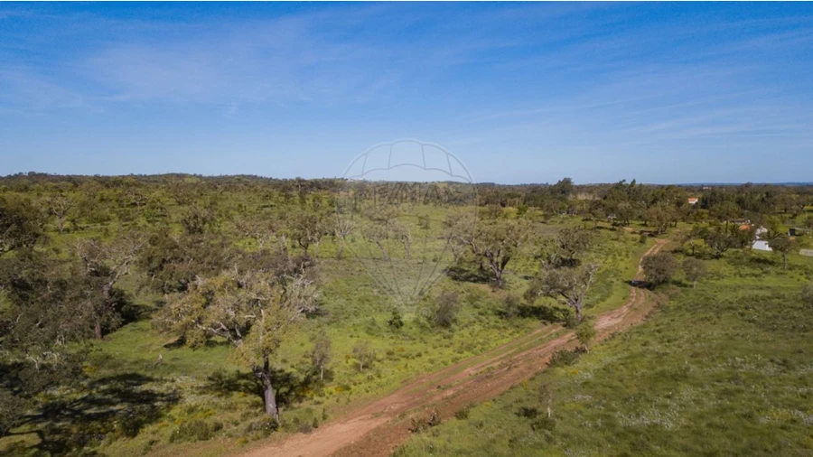 Terreno para Venda em Cercal Foto 8