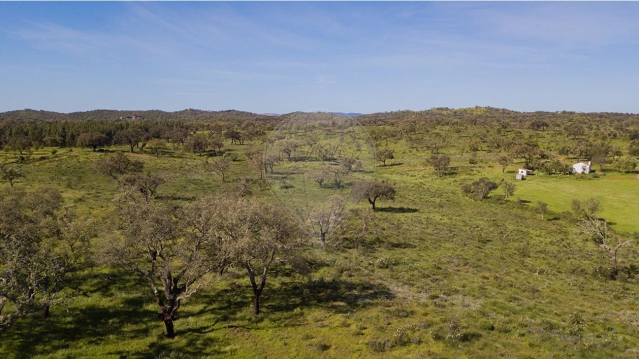 Terreno para Venda em Cercal Foto 24