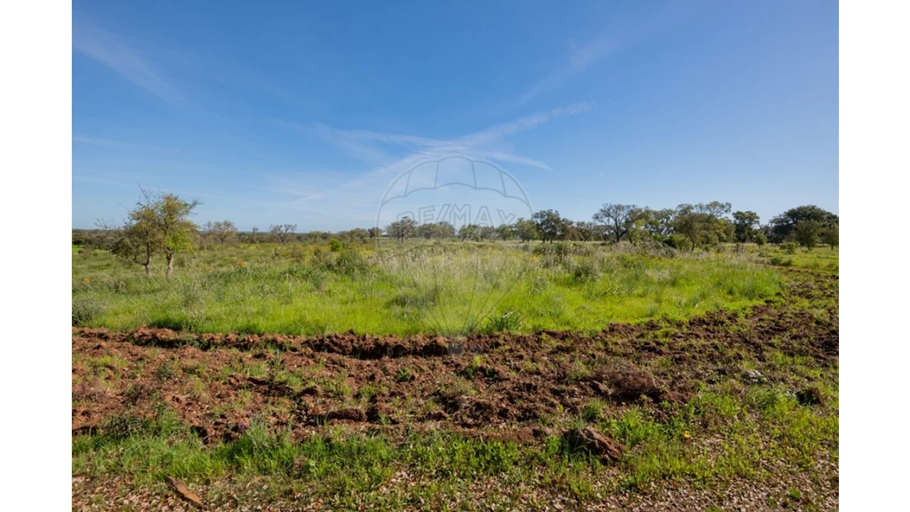 Terreno para Venda em Cercal Foto 31