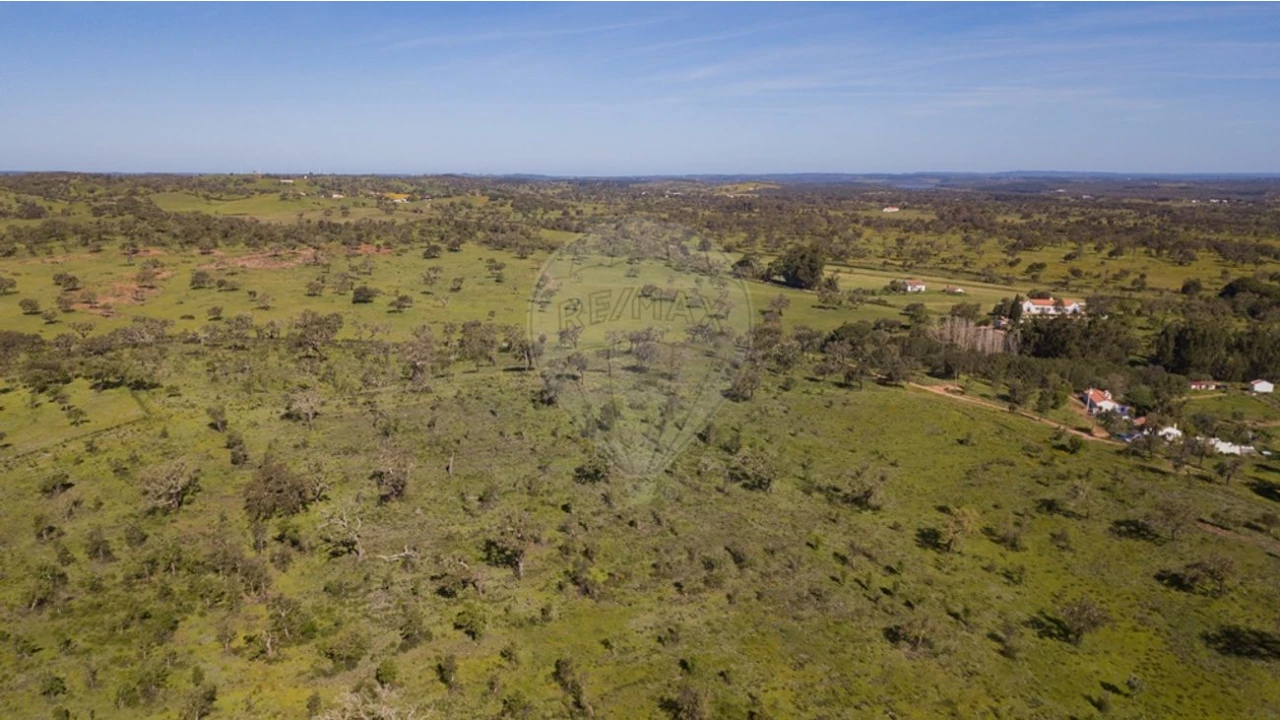 Terreno para Venda em Cercal Foto 11