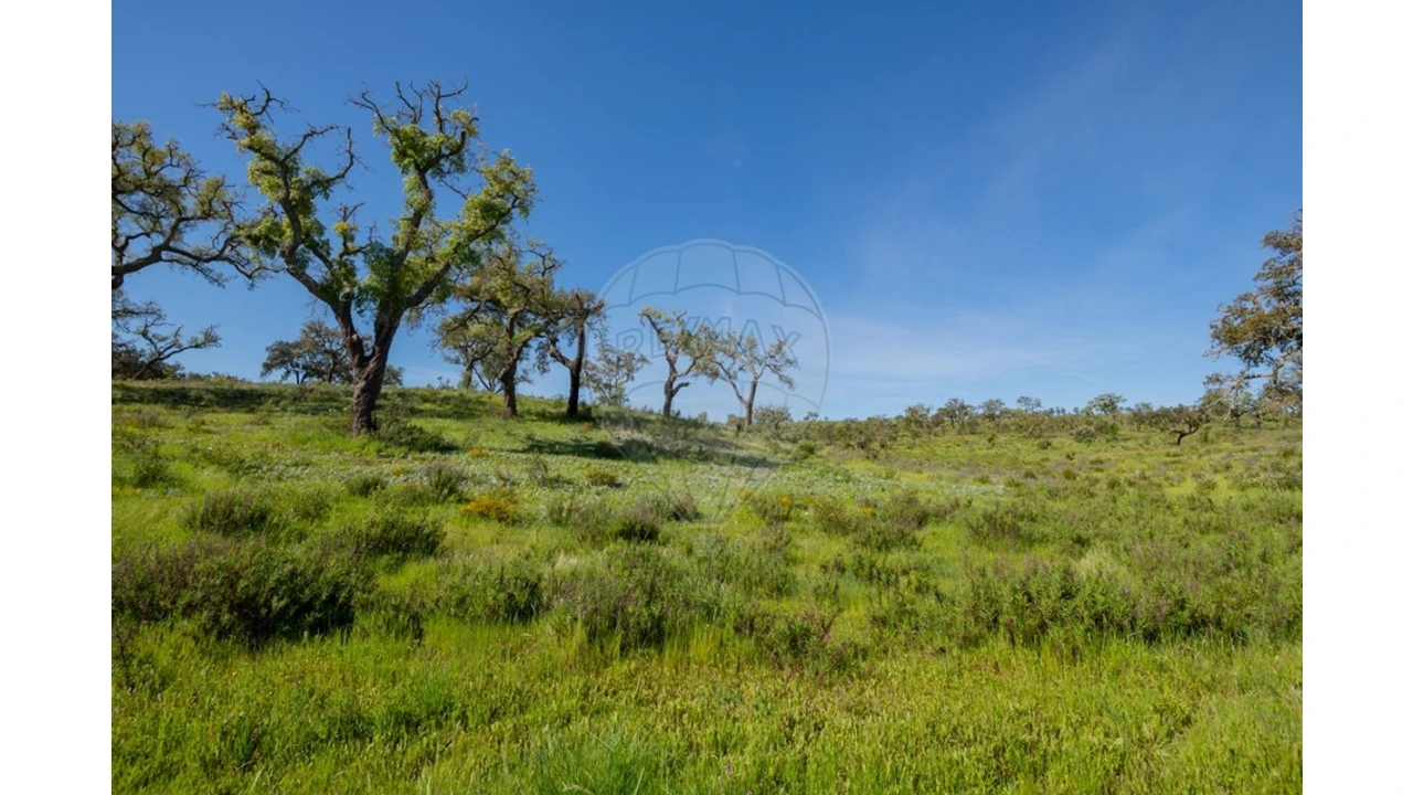 Terreno para Venda em Cercal Foto 33