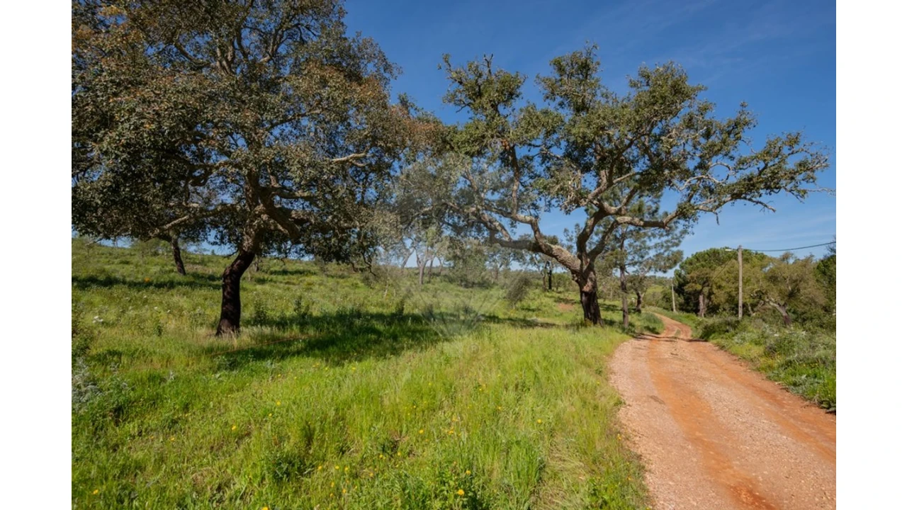Terreno para Venda em Cercal Foto 4