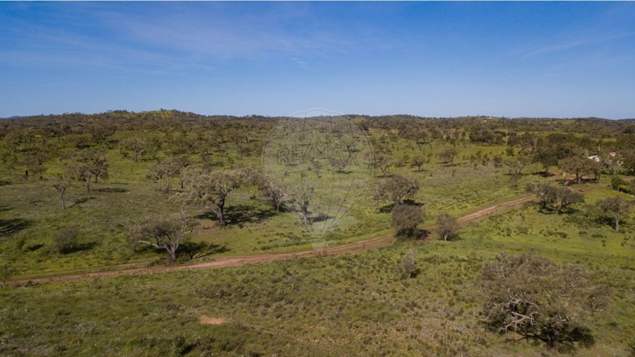 Terreno para Venda em Cercal Foto 25