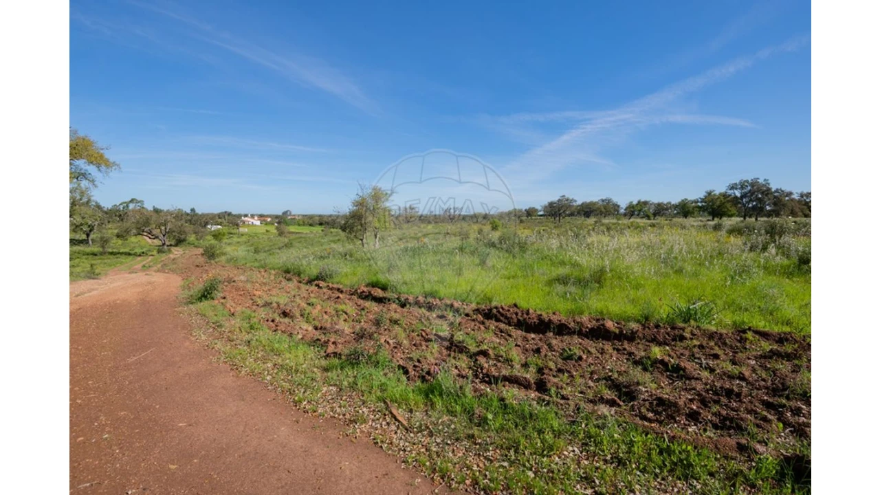 Terreno para Venda em Cercal Foto 30