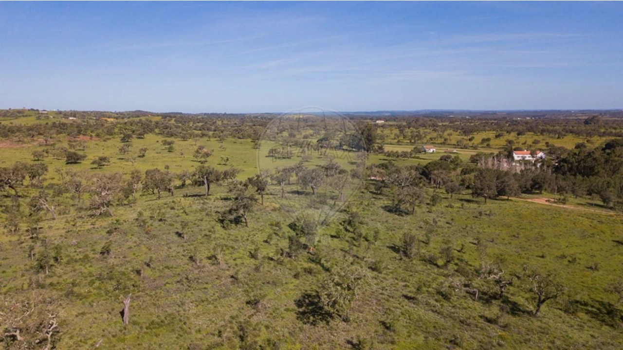Terreno para Venda em Cercal Foto 10