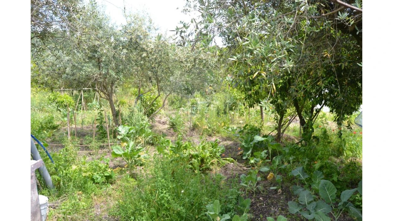 Moradia T5 para Venda em Ribeira de Nisa e Carreiras Foto 6