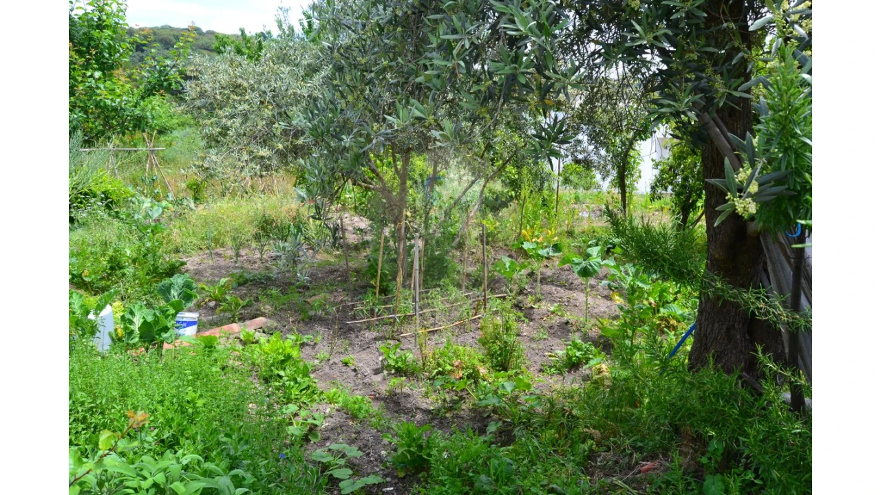 Moradia T5 para Venda em Ribeira de Nisa e Carreiras Foto 4