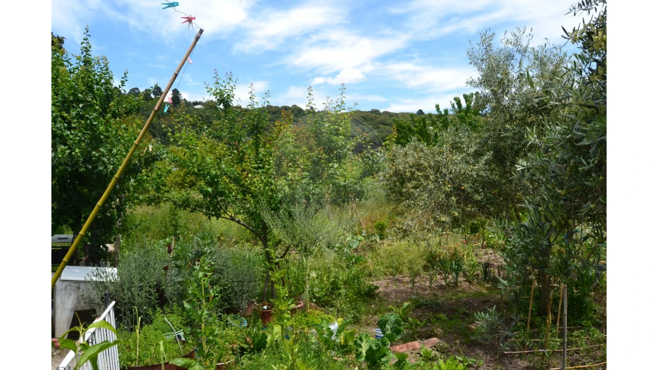 Moradia T5 para Venda em Ribeira de Nisa e Carreiras Foto 5