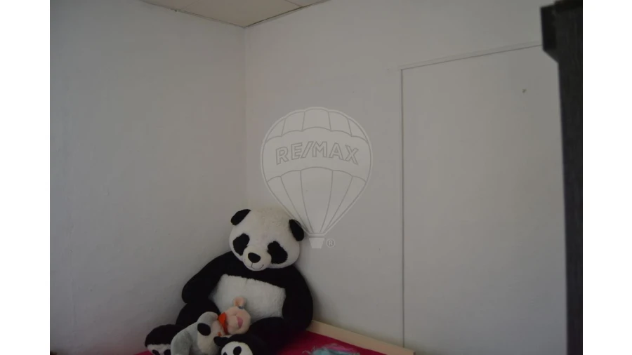 Moradia T5 para Venda em Ribeira de Nisa e Carreiras Foto 25