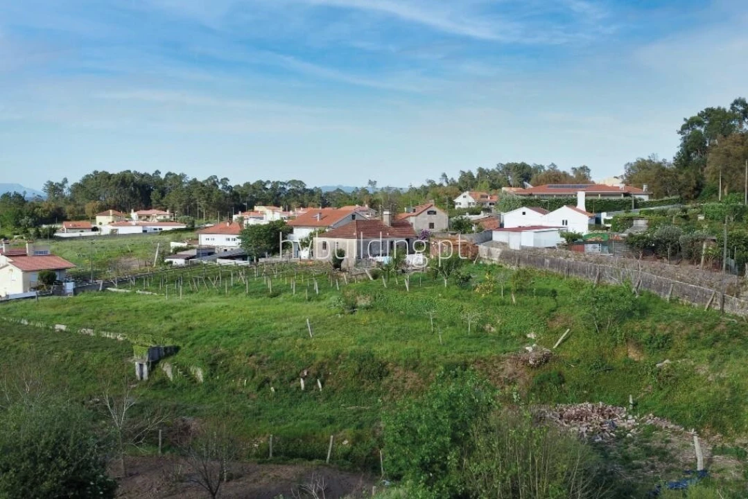 Terreno para Venda em Antas Foto 3