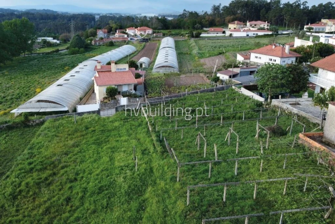 Terreno para Venda em Antas Foto 2