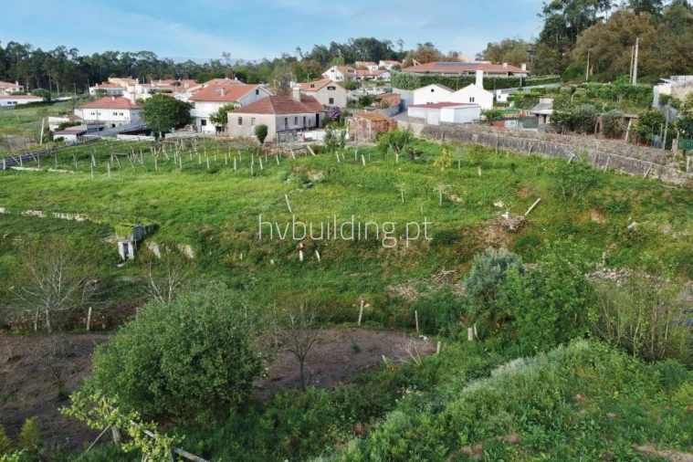 Terreno para Venda em Antas Foto 6