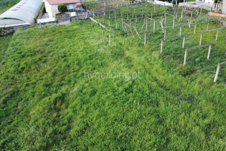 Terreno para Venda em Antas Foto 8