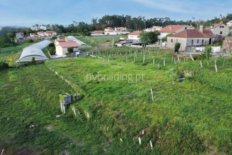 Terreno para Venda em Antas Foto 4