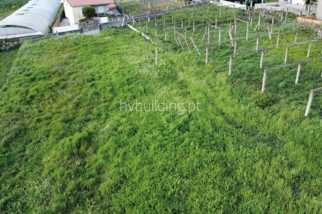 Terreno para Venda em Antas Foto 8