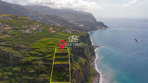 Terreno para Venda em Ribeira Brava