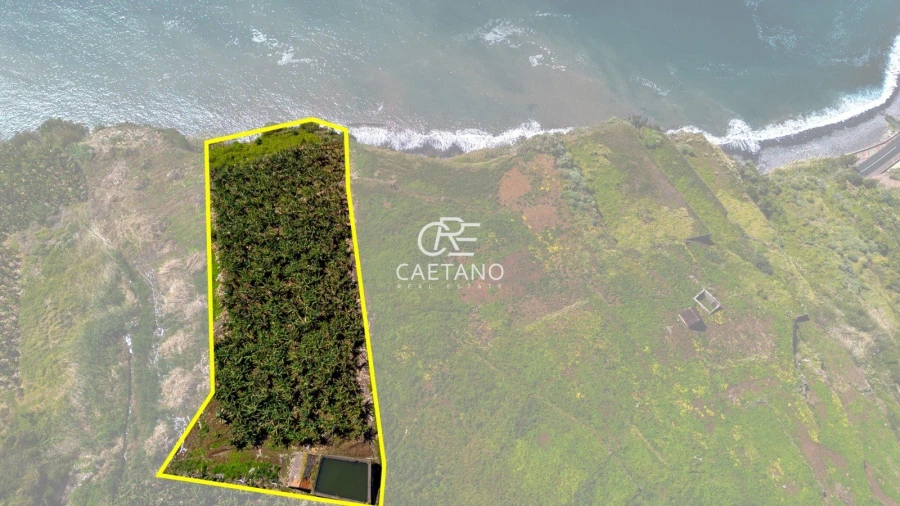 Terreno para Venda em Ribeira Brava