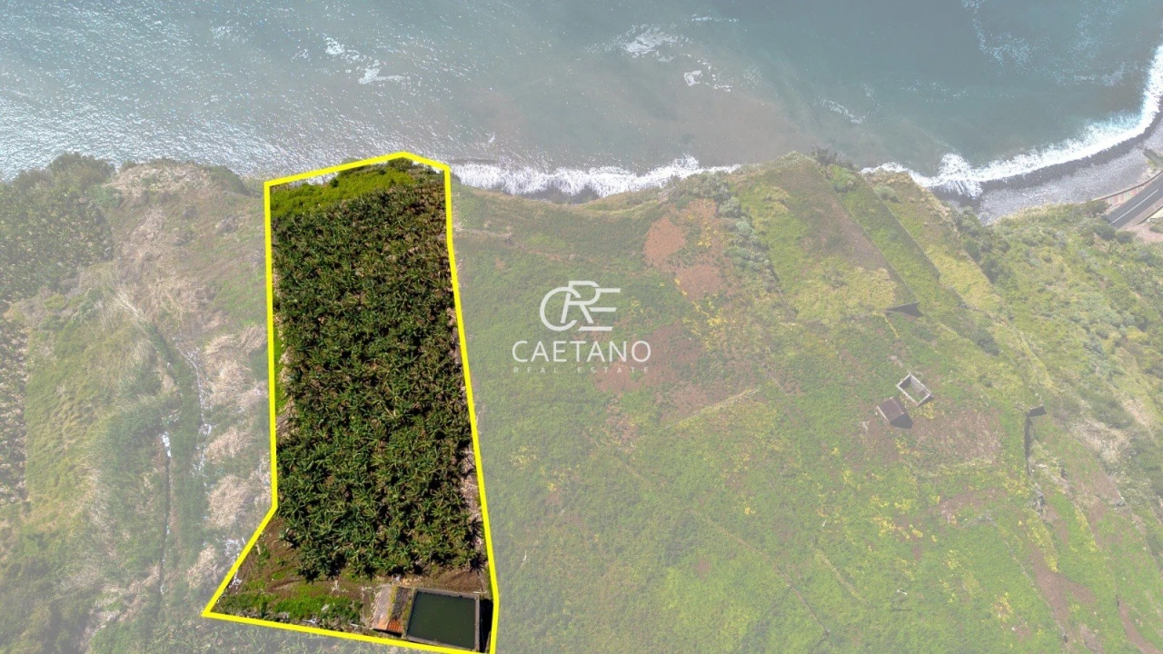 Terreno para Venda em Ribeira Brava Foto 1