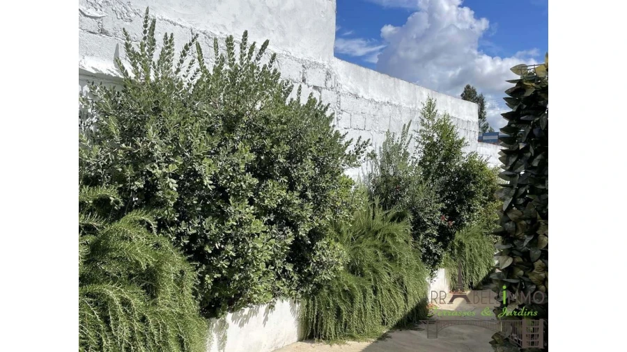 Moradia T11 para Venda em Grândola e Santa Margarida da Serra Foto 12