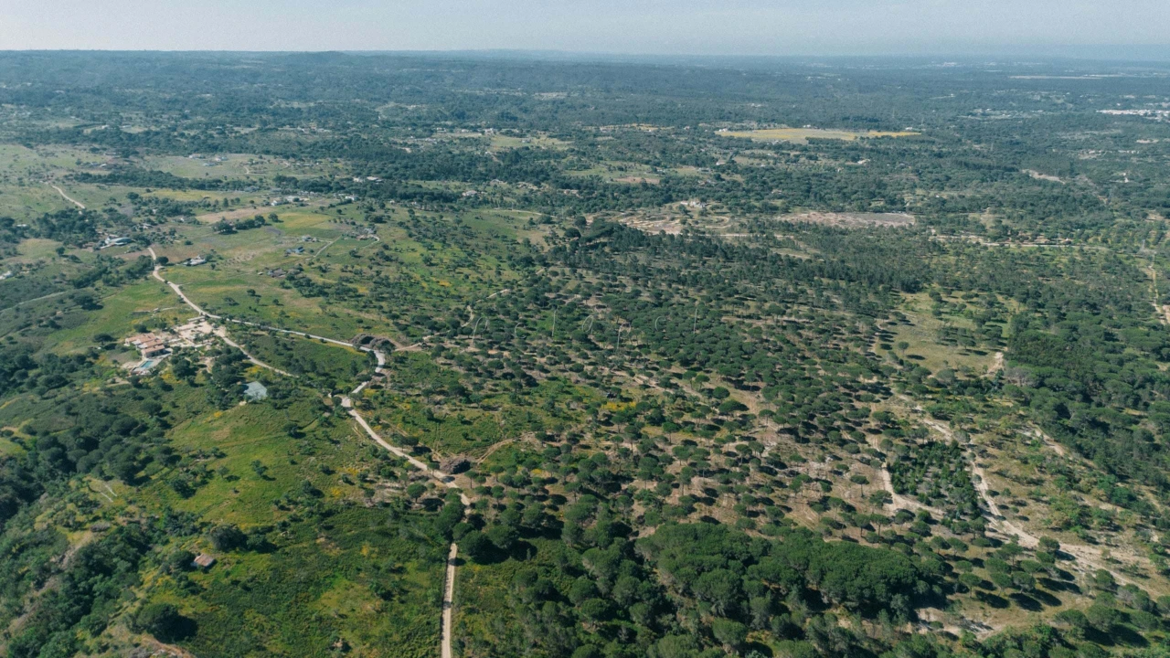 Terreno para Venda em Melides Foto 9