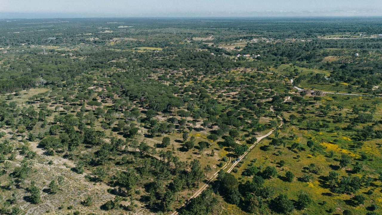 Terreno para Venda em Melides Foto 14