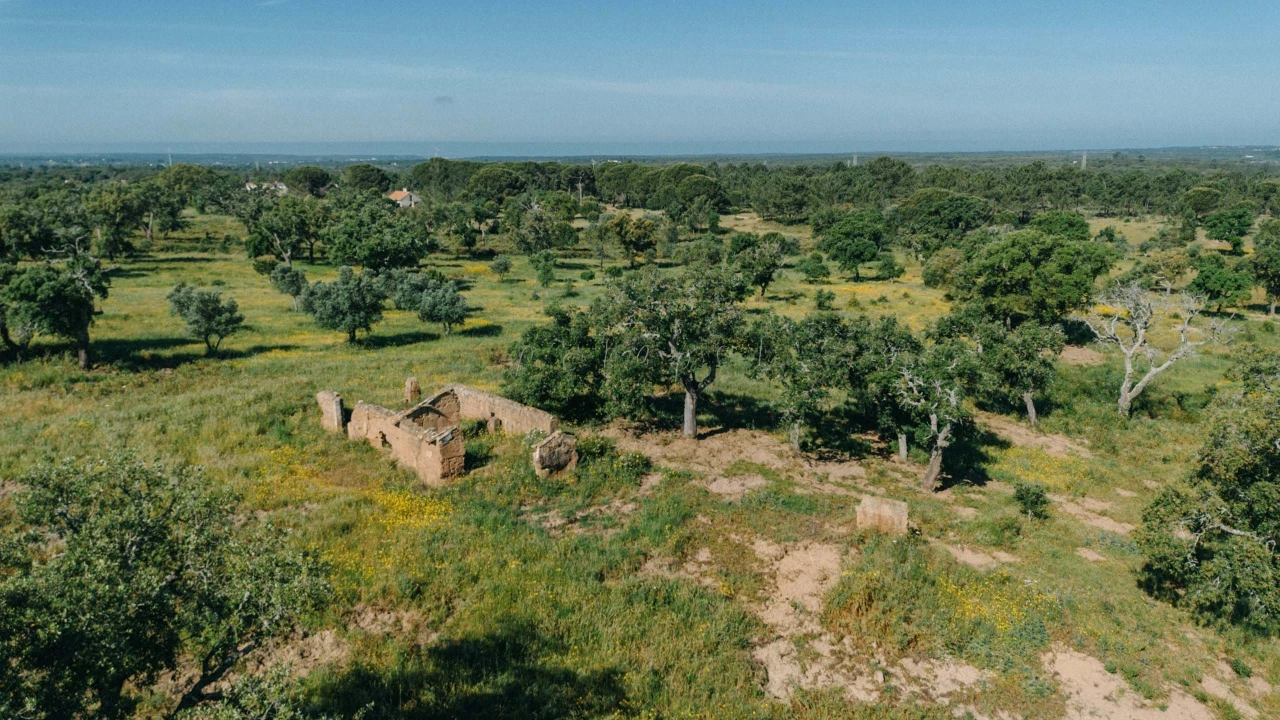 Terreno para Venda em Melides Foto 11