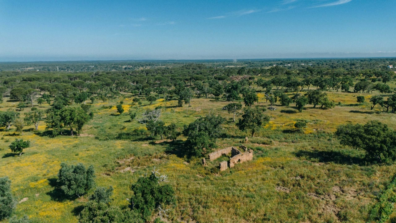 Terreno para Venda em Melides Foto 1