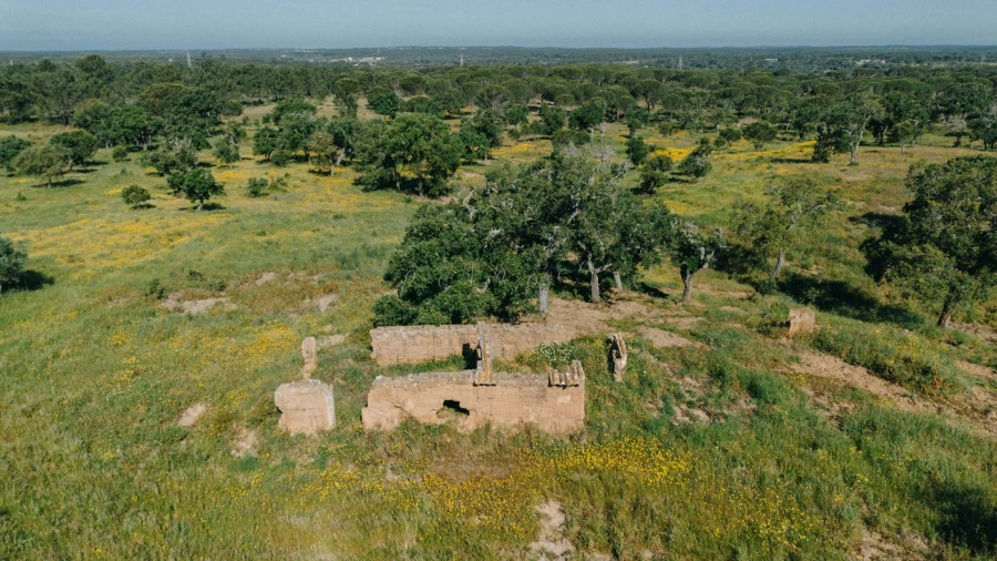Terreno para Venda em Melides Foto 10