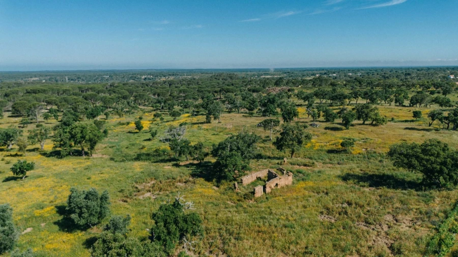 Terreno para Venda em Melides Foto 1